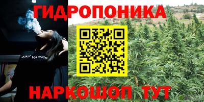 ECSTASY Малгобек