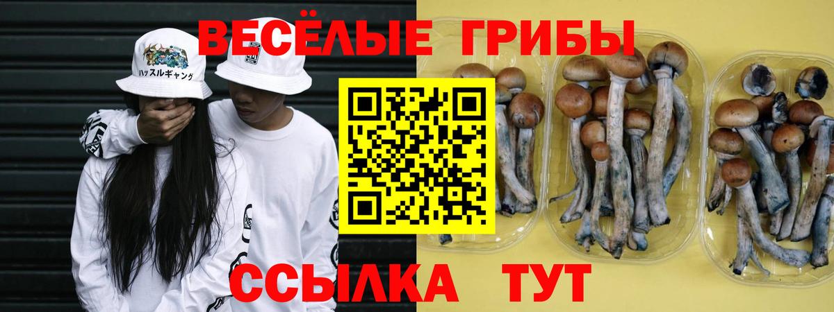 Галлюциногенные грибы мицелий  Вход с VPN  Грязи 